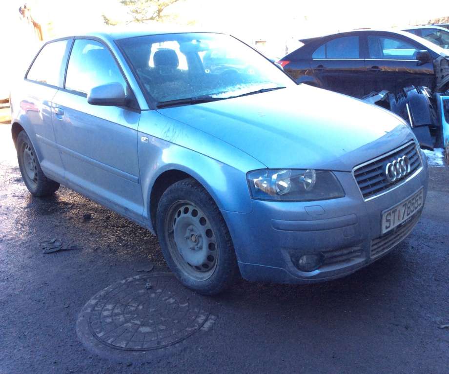 Audi A3 2003-2008 (Type II, Fase 1) , Motorkode: BGU, Girkassekode: 