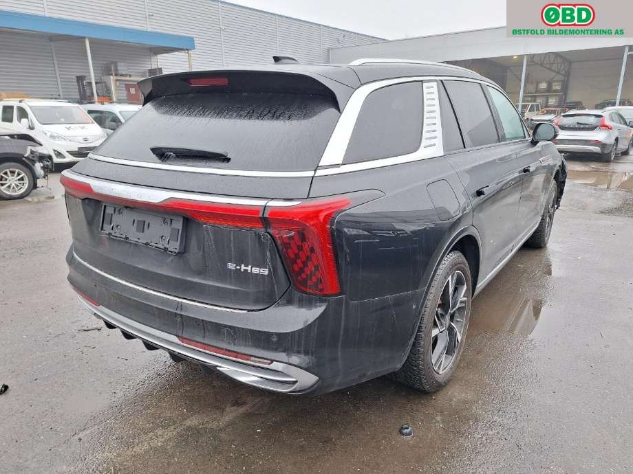 Hongqi E-HS9 2022-->> , Motorkode: , Girkassekode: