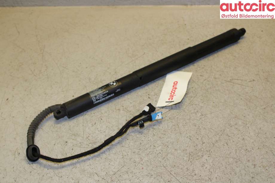 Baklukeåpner motor til BMW X5, 2013-2018 (F15) (F15) (BMW|51 24 7 294 469)