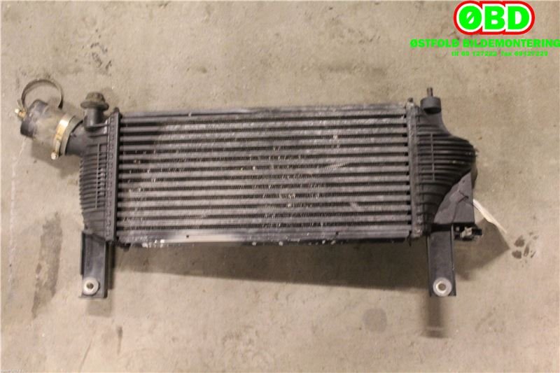 Intercooler til Nissan Navara 2005-2010 (Fase 1) (D40) (D40) (NISSAN|14461EB360|)