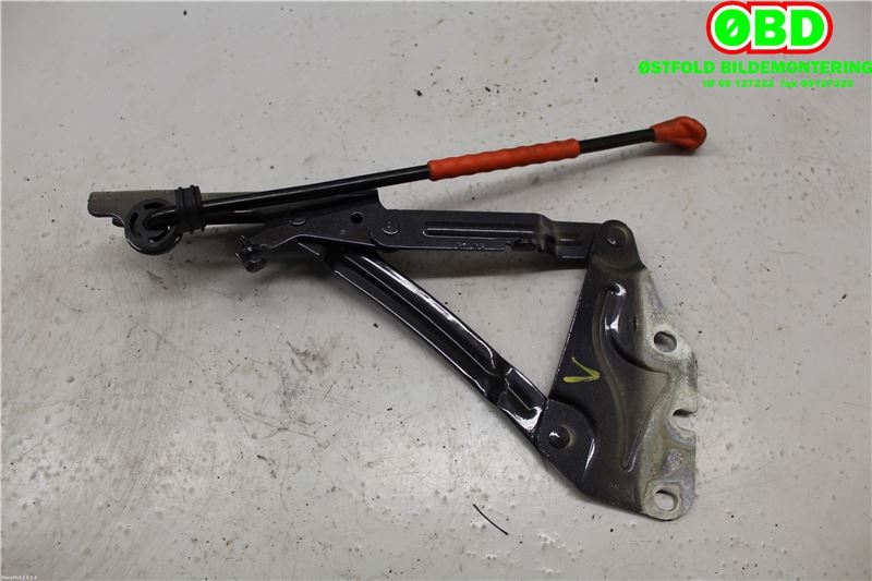 Panserhengsler til VW Golf, Plus/Cross 2005-2009 (Fase 1) (VOLKSWAGEN|5M0 823 301|)