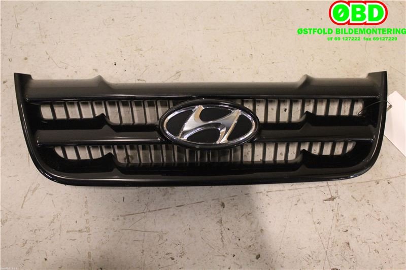 Grill til Hyundai Matrix, 2001-2010 (HYUNDAI|8636117010)