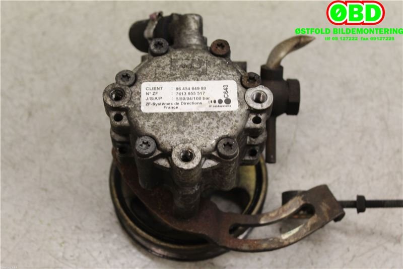 Servo pumpe mekanisk til Citroën Jumper, 2002-2006 (Type II) (CITROEN|4007CJ)
