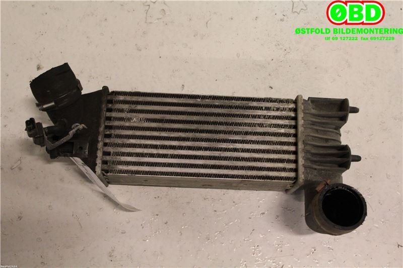 Intercooler til Land Rover Discovery, 1999-2004 (Type II)  (LAND-ROVER|PCM100220)