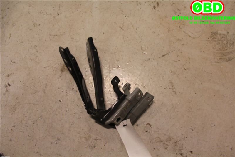 Panserhengsler til Volvo C30 2006-2009 (Fase 1)  (VOLVO|30753598|30753597|)