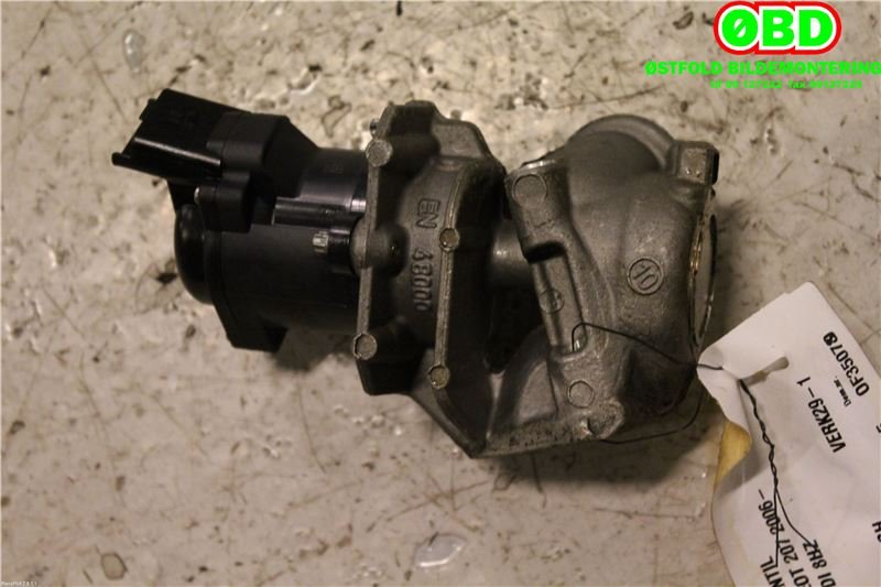 EGR-ventil til Peugeot 207 2006-2012 (PEUGEOT|1618N8|1618PF|9673258680)