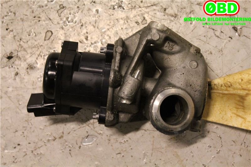 EGR-ventil til Peugeot 207 2006-2012 (PEUGEOT|1618N8|1618PF|9673258680)