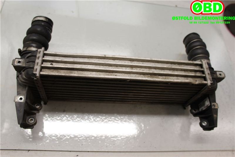 Intercooler til Ford Transit Connect 2003-2009 (Type I, Fase 1) (FORD TRANSIT CONNECT T220|4999282||7T169L440AD)