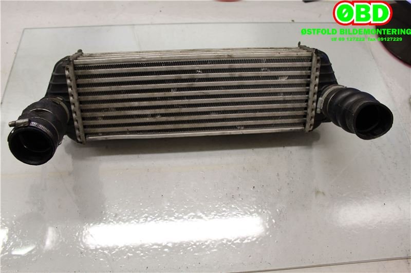 Intercooler til Ford Transit Connect 2003-2009 (Type I, Fase 1) (FORD TRANSIT CONNECT T220|4999282||7T169L440AD)
