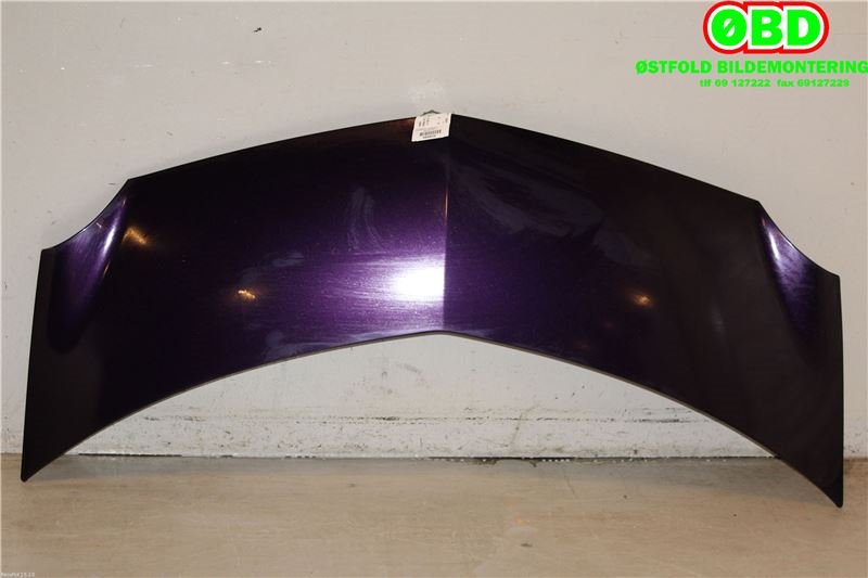 Panser til Renault Modus 2006-2008 (RENAULT|7751475521|)