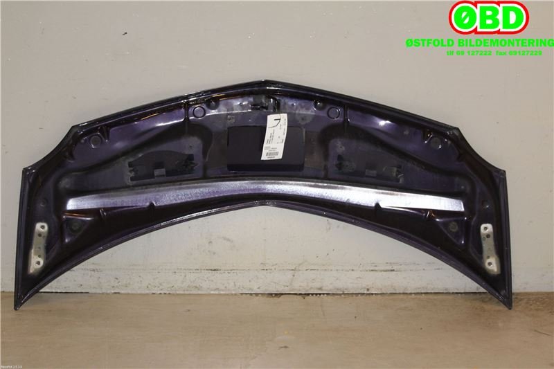 Panser til Renault Modus 2006-2008 (RENAULT|7751475521|)