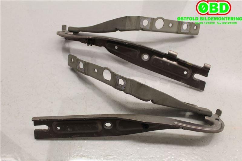 Panserhengsler til Peugeot 407 2004-2010 (PEUGEOT|7912 77|7912 76|)