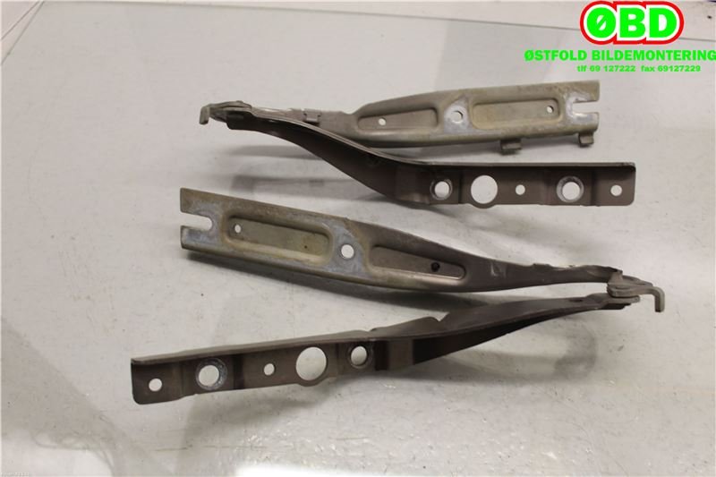 Panserhengsler til Peugeot 407 2004-2010 (PEUGEOT|7912 77|7912 76|)