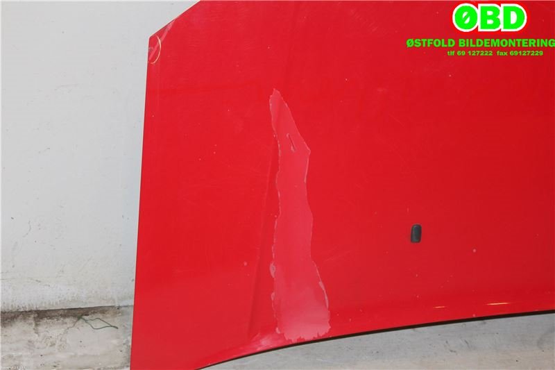 Panser til Ford Transit Connect 2003-2009 (Type I, Fase 1)  (FORD|4503736|)