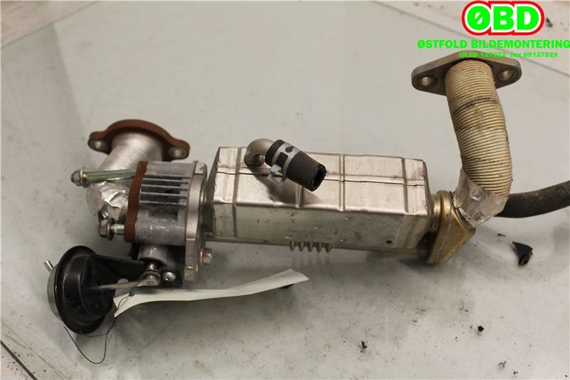 EGR-kjøler til Mazda CX-7, 2007-2012 (MAZDA|R2AX2031XB)