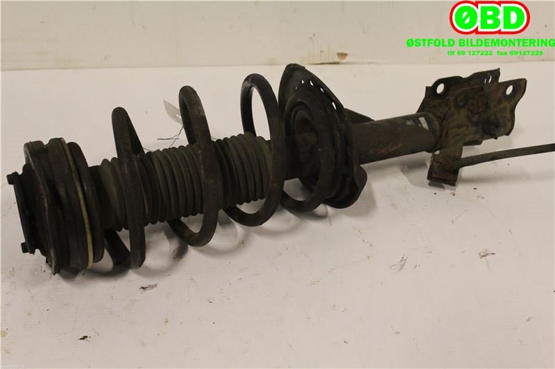 Fjærbein venstre foran til Nissan Qashqai 2007-2010 (Type I, Fase 1)  (NISSAN|E4303JD03A|E4303JD04A|)
