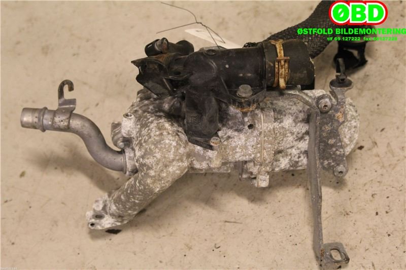 EGR-ventil til Citroën C3 2010-2016 (Type II)  (CITROEN|1618LN|)