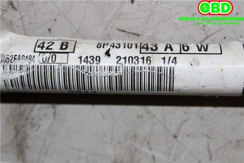 Stabilisatorstag foran til Ford Focus 2008-2010 (Type II, Fase 2)  (FORD|1441099|)