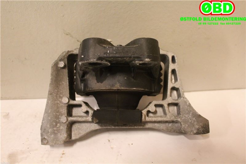 Motorfeste til Ford Focus 2011-2014 (Type III, Fase 1) (FORD|)