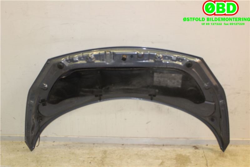 Panser til Renault Scenic 2003-2009 (Type II)  (RENAULT|7751474289|651001097R|)