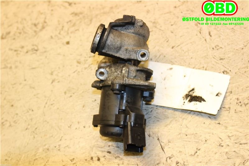 EGR-ventil til Citroën C3 2002-2009 (Type I)  (CITROEN|1618N8|1618PF|9658203780)