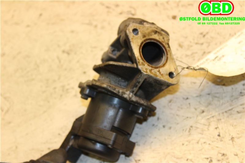 EGR-ventil til Citroën C3 2002-2009 (Type I)  (CITROEN|1618N8|1618PF|9658203780)