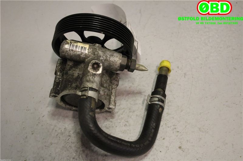 Servo pumpe mekanisk til Nissan Primera 2002-2007 (P12) (P12) (NISSAN|49110AW300|)