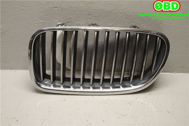 Grill til BMW 5-Serie 2010-2017 (F10/F11) (F10/F11) (BMW|51 13 7 200 727|)