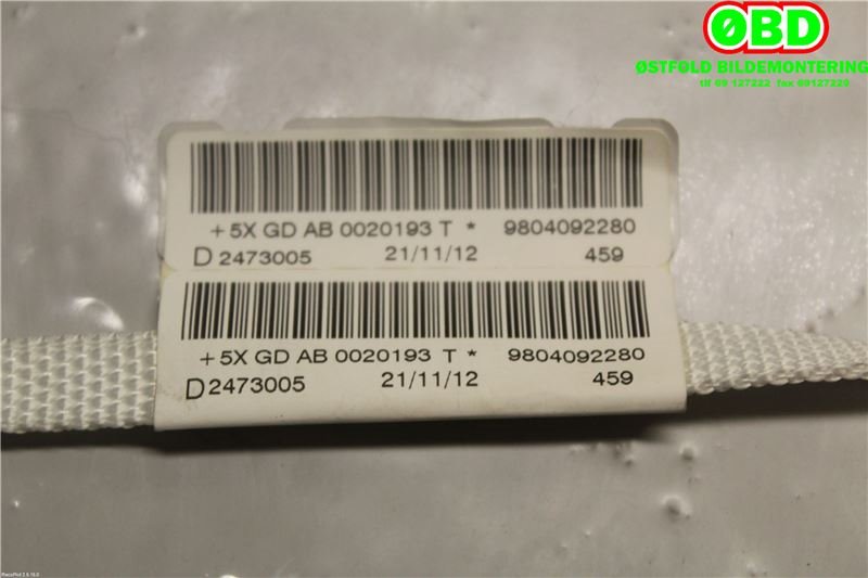 Airbag gardin høyre til Peugeot 208 2012-2019 (Type I)  (PEUGEOT|9804092280|)