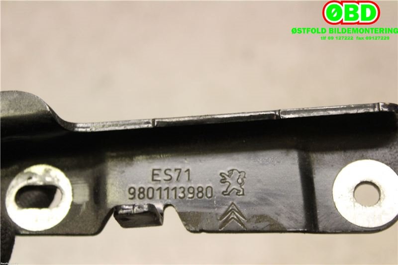 Panserhengsler til Citroën C4, Cactus 2014-2017 (Fase 1)  (CITROEN|98 011 139 80||9801113980)