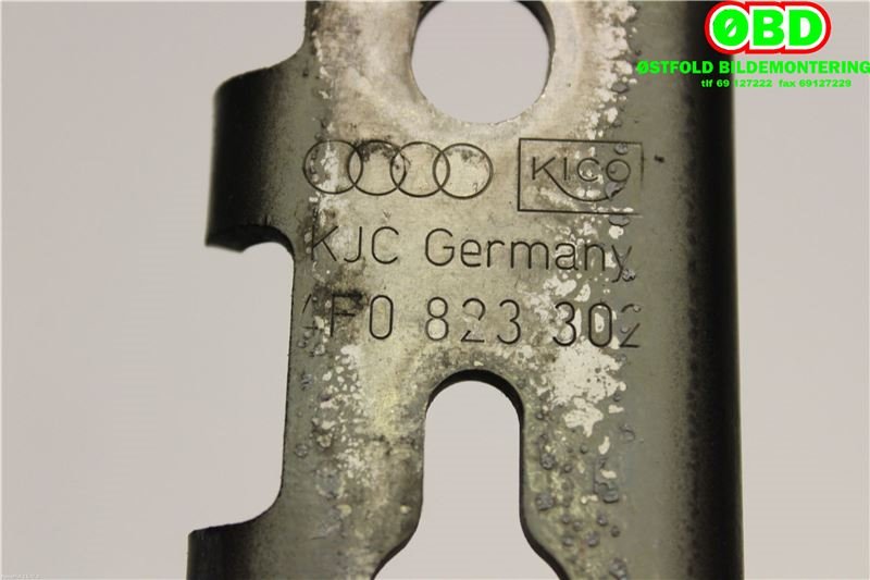 Panserhengsler til Audi A6, Allroad 2006-2008 (Type II, Fase 1) (C6) (C6) (AUDI|4F0 823 302||4F0823302)