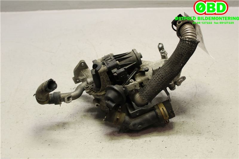 EGR-ventil til Ford Focus 2011-2014 (Type III, Fase 1)  (FORD|1702178|)