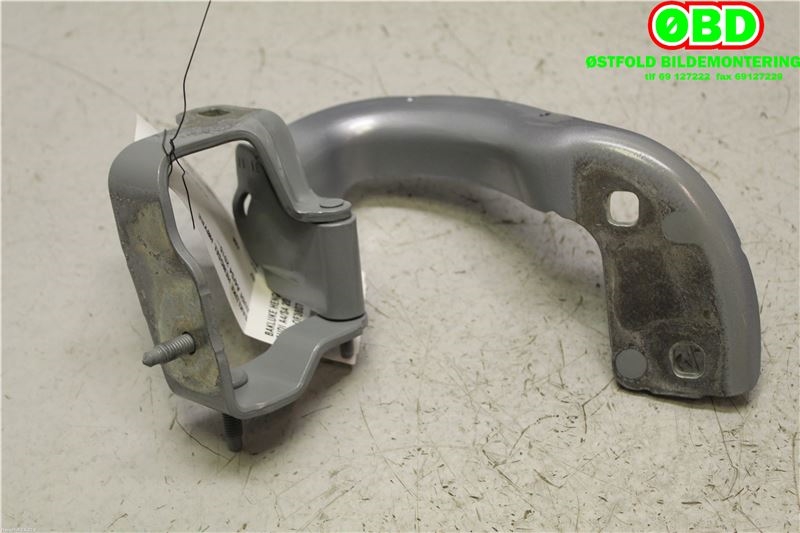 Hengsler til Audi A4 2015-2019 (Type V, Fase 1) (B9) (B9) (AUDI A4 AVANT|8W9 827 300 B|)