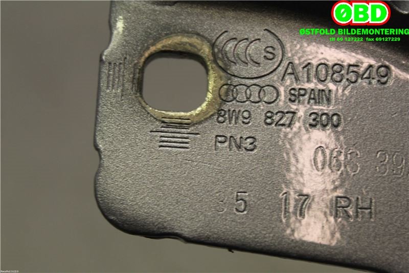 Hengsler til Audi A4 2015-2019 (Type V, Fase 1) (B9) (B9) (AUDI A4 AVANT|8W9 827 300 B|)