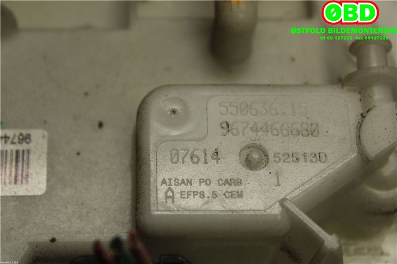 Styreenhet drivstoffpumpe til Peugeot 308 2013-2021 (Type II)  (9674466680|)