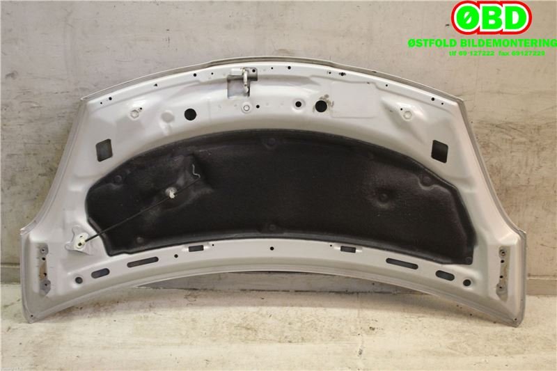 Panser til Nissan Pixo 2009-2013  (NISSAN|651004A00C|)