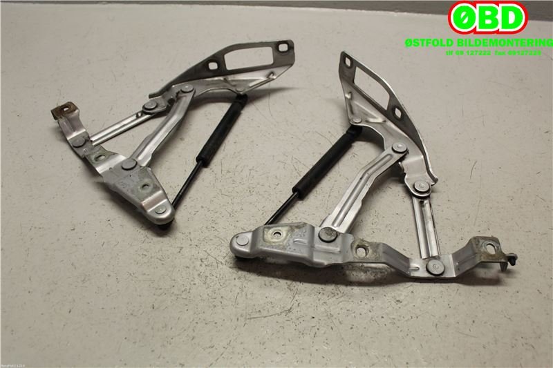 Panserhengsler til Audi TT 1998-2006 (Type I) (AUDI|8N0 823 302|8N0 823 301|)