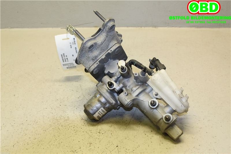 Bremsekraft-forsterker til Renault Zoe 2013-2019 (Fase 1)  (RENAULT ZOE||460115213R)