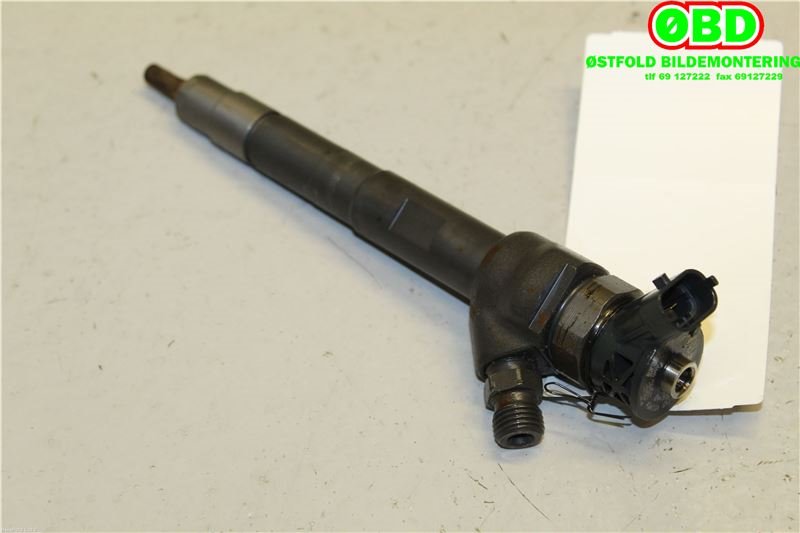 Dyse innsprøyting diesel til Land Rover Discovery Sport, 2015-2019 (Fase 1)  (LAND-ROVER|LR073710)