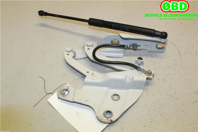 Panserhengsler til BMW X1 2009-2015 (E84) (E84) (BMW|41 00 2 993 149|)