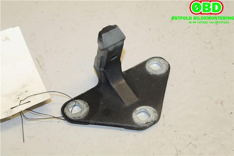 Hengsler til BMW X5 2007-2013 (E70) (E70) (BMW|41 62 7 170 918|)