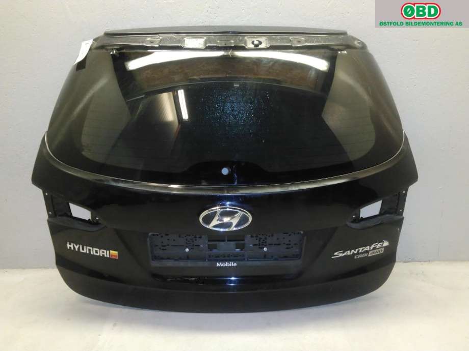 Bakluke til Hyundai Santa Fe 2012-2020 (Type III) (HYUNDAI|737002W020|)