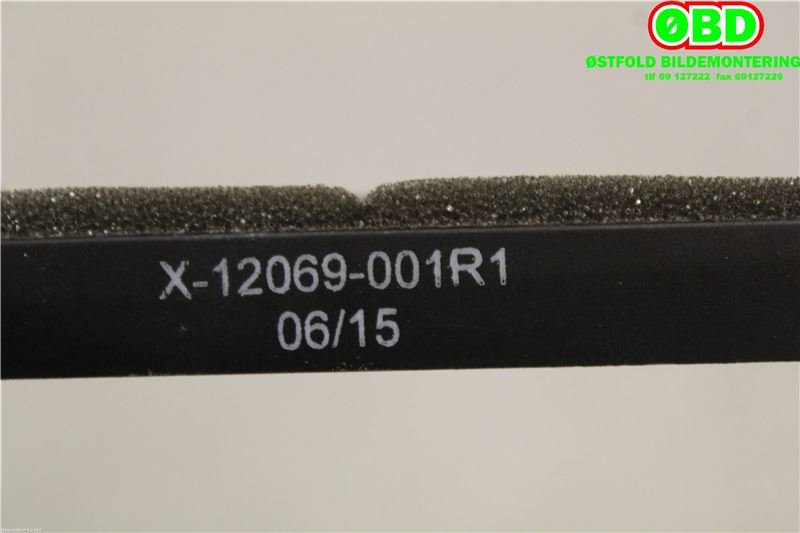 Sensor diverse til Tesla Model S 2013-2016 (Fase 1)  (TESLA|X12069001R1|)