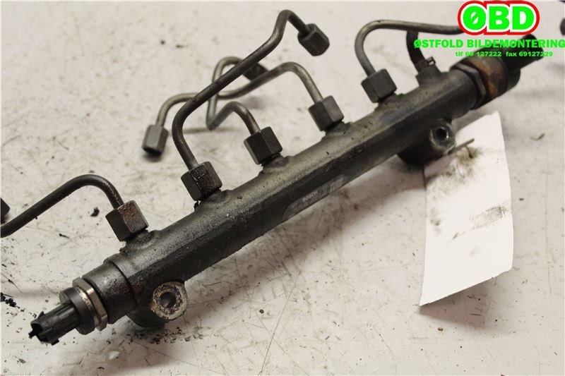 Dyseskinne (fuelrail) til Hyundai Santa Fe 2006-2009 (Type II, Fase 1)  (3140027400|0445214085)
