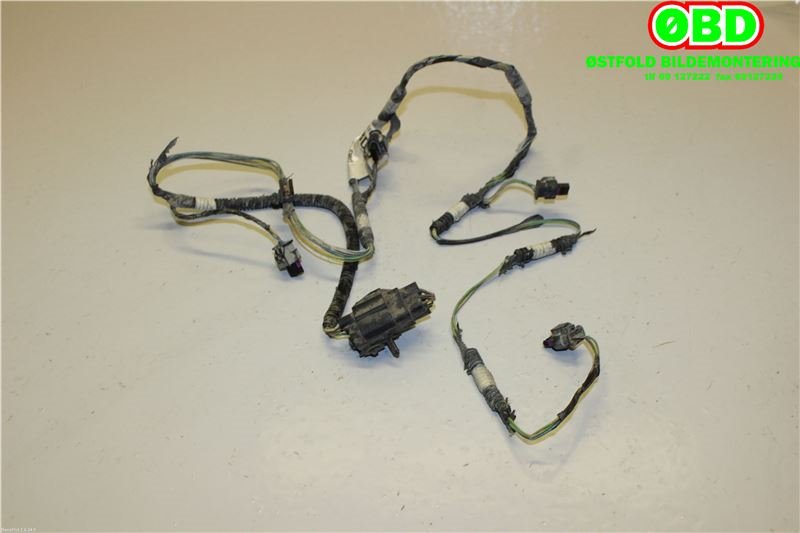 Ledningsnett til Ford Focus 2011-2014 (Type III, Fase 1) (FORD|1761544||BV6T15K868BDD)