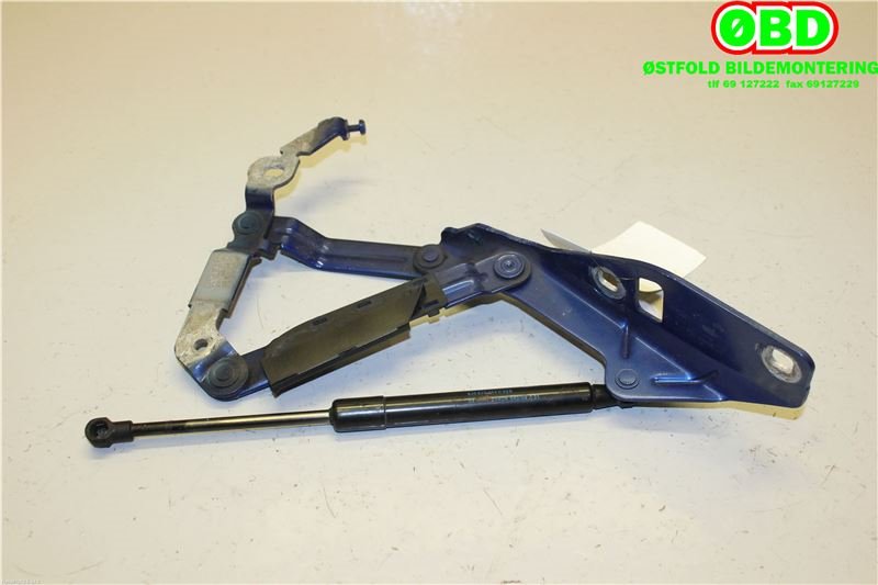 Panserhengsler til Audi TT 2006-2014 (Type II) (AUDI|8J0 823 301 H||8J0823301H)