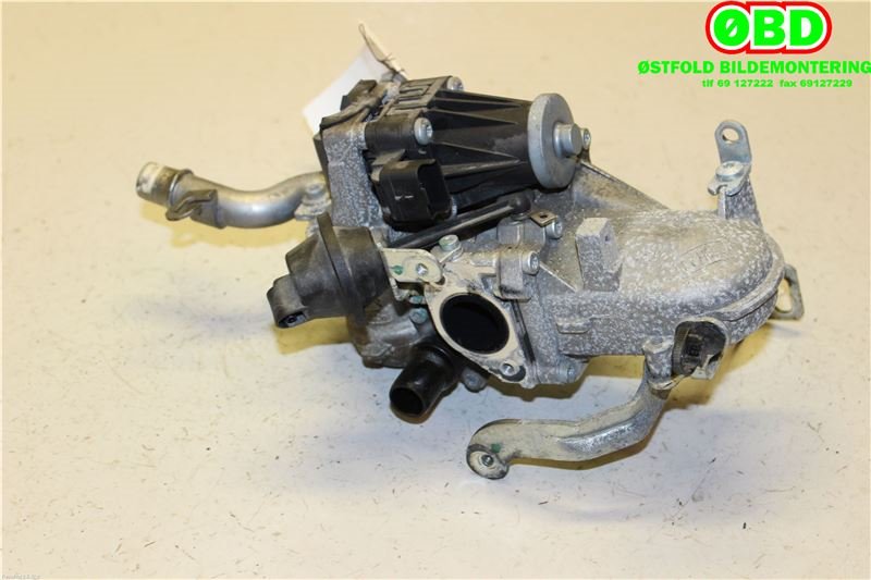 EGR-ventil til Peugeot 2008 2013-2019 (Type I)  (PEUGEOT|1618LN|)