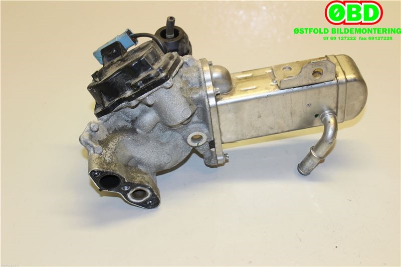 EGR-ventil til Peugeot 3008 2009-2016 (Type I)  (|9671398180)