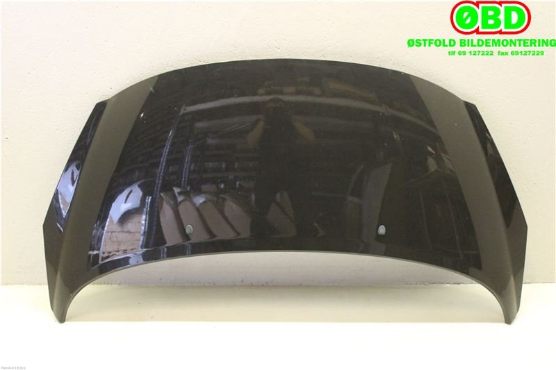 Panser til Peugeot 207 2006-2012 (PEUGEOT|7901 N2|)