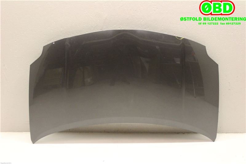 Panser til Toyota Auris 2007-2010 (Type I, Fase 1) (TOYOTA|5330102160|)